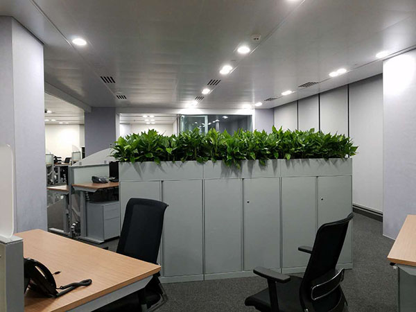 盛威科油墨（上海）有限公司植物进场