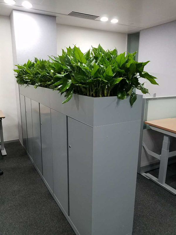 盛威科油墨（上海）有限公司植物进场