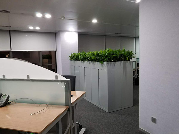 盛威科油墨（上海）有限公司植物进场