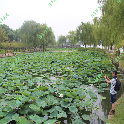 秋季旅游