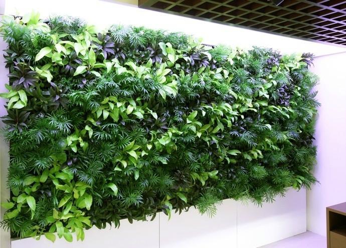 植物墙技术体系