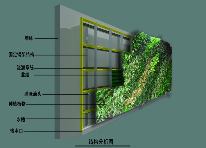 植物墙技术体系